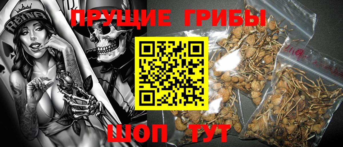 Галлюциногенные грибы ЛСД  наркошоп  Гагарин  Вход с VPN 